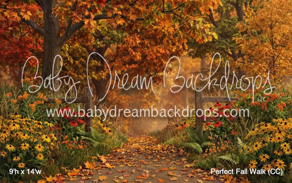 Perfect Fall Walk (CC)