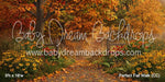 Perfect Fall Walk (CC)