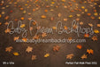 Perfect Fall Walk Floor (CC)