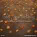 Perfect Fall Walk Fabric Floor (CC)