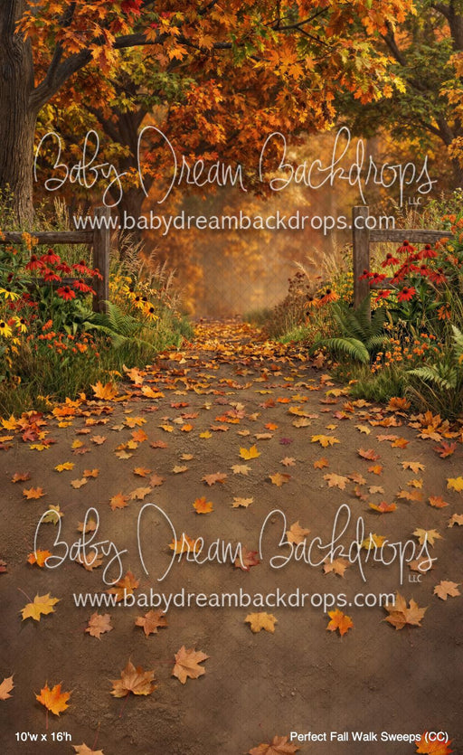 Perfect Fall Walk Sweeps (CC)