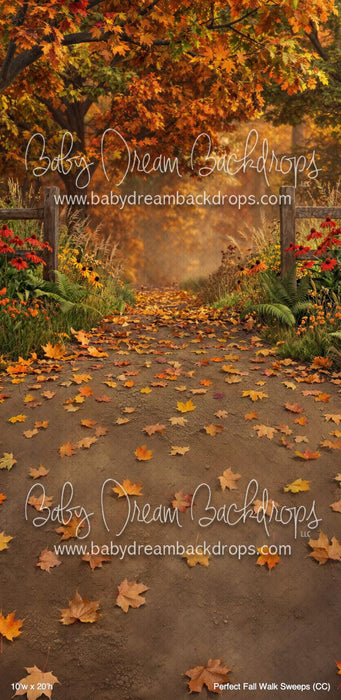Perfect Fall Walk Sweeps (CC)
