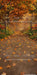 Perfect Fall Walk Sweeps (CC)