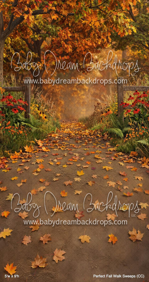 Perfect Fall Walk Sweeps (CC)