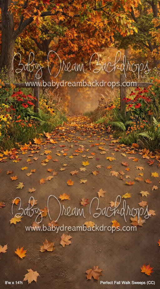 Perfect Fall Walk Sweeps (CC)