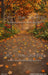 Perfect Fall Walk Sweeps (CC)