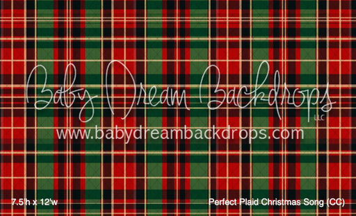 Perfect Plaid Christmas Song (CC)
