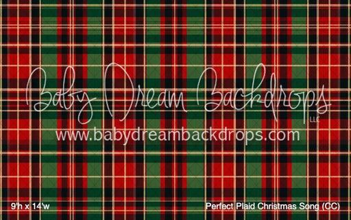 Perfect Plaid Christmas Song (CC)