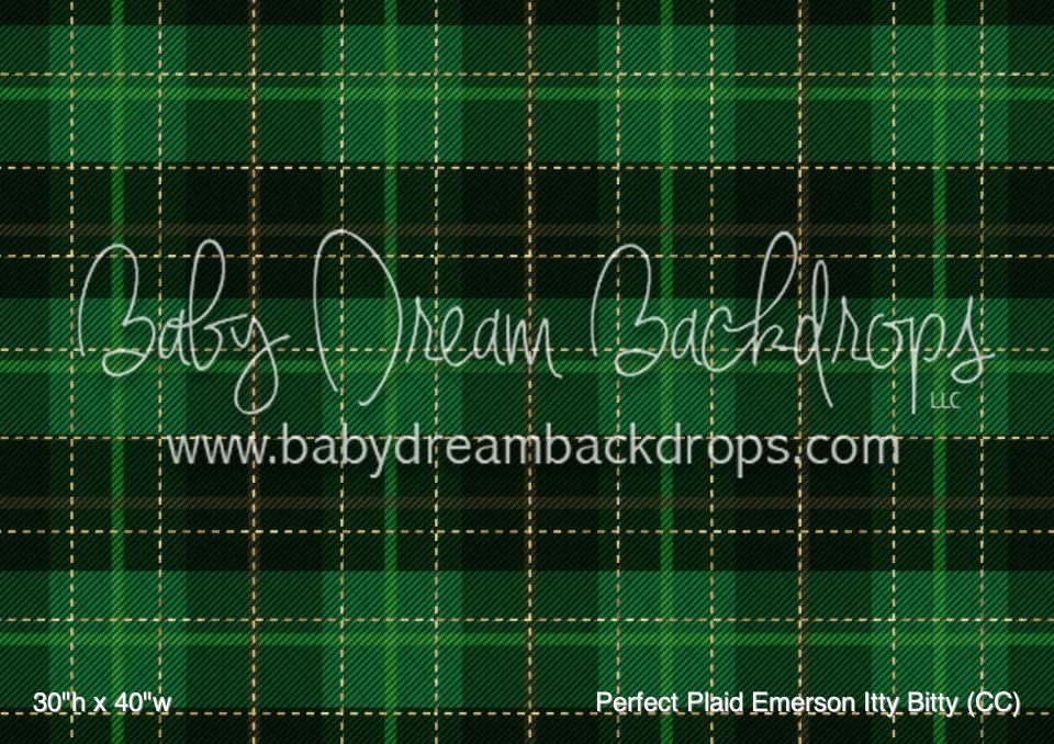 Perfect Plaid Emerson Itty Bitty (CC)