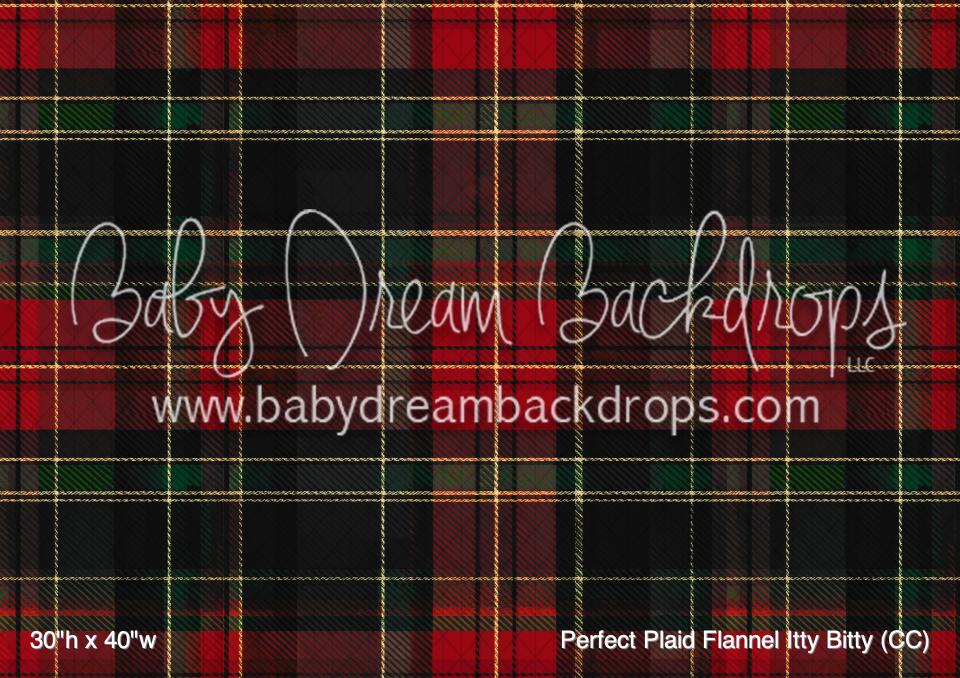 Perfect Plaid Flannel Itty Bitty (CC)