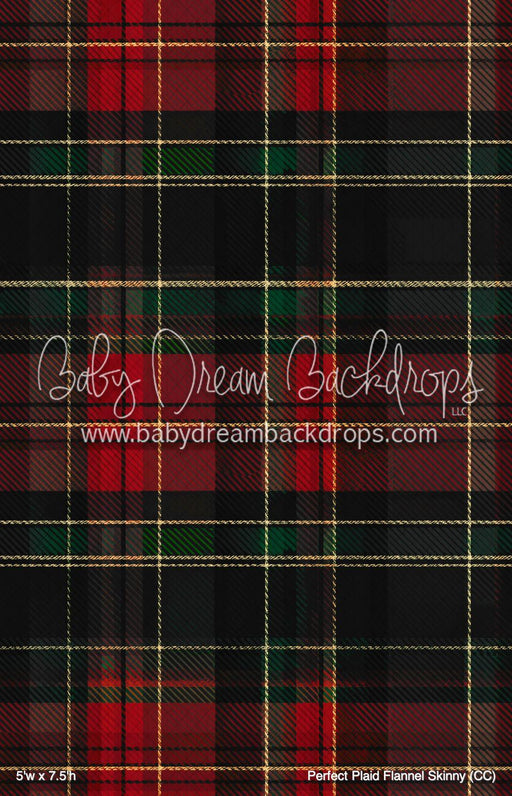 Perfect Plaid Flannel Skinny (CC)