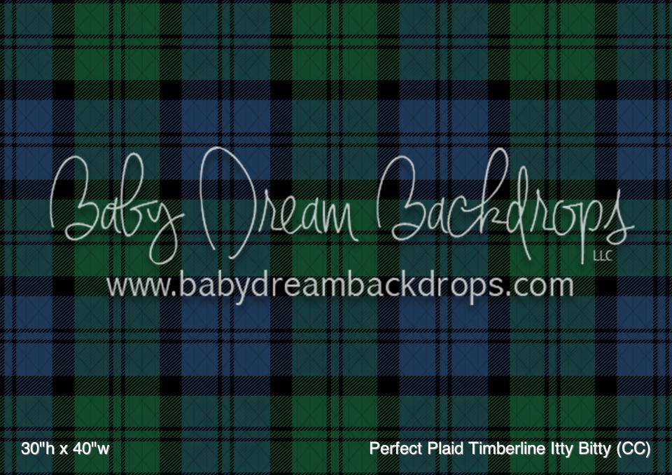 Perfect Plaid Timberline Itty Bitty (CC)