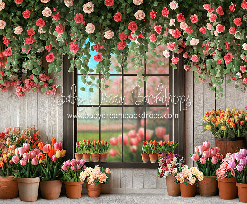 Petal Paradise Window (JA)