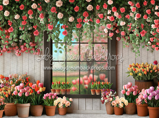Petal Paradise Window (JA)