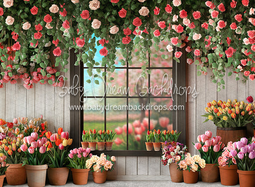 Petal Paradise Window (JA)