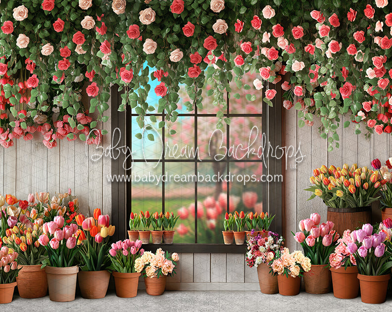 Petal Paradise Window (JA)