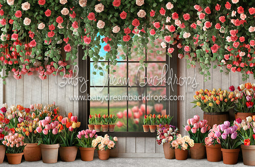 Petal Paradise Window (JA)