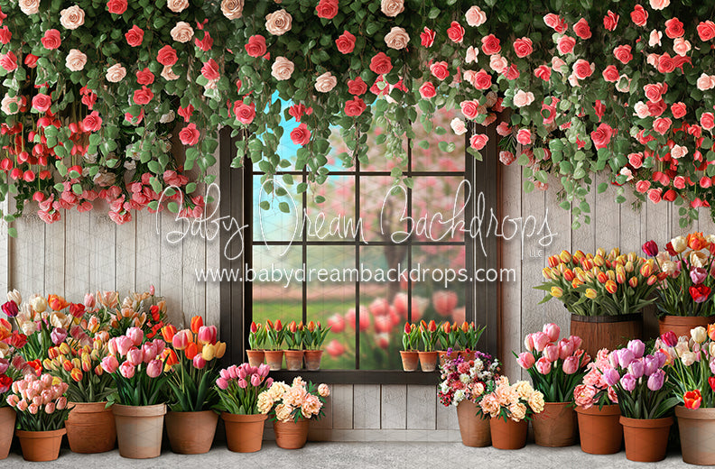 Petal Paradise Window (JA)