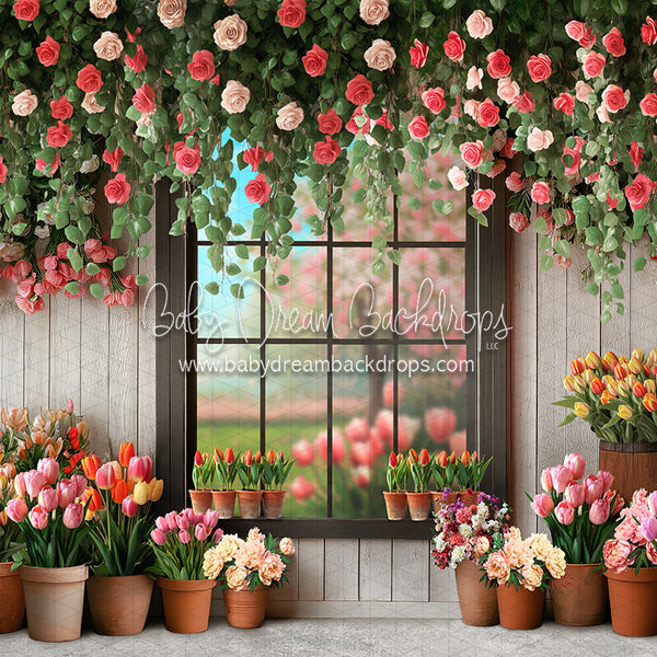 X Drop Petal Paradise Window (JA)