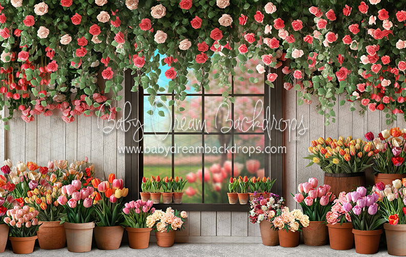 Petal Paradise Window (JA)