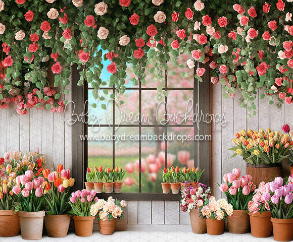 Petal Paradise Window (white bottom) (JA)