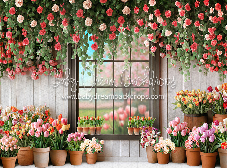 Petal Paradise Window (white bottom) (JA)