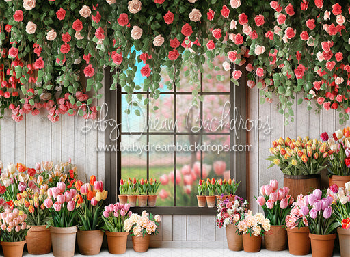 Petal Paradise Window (white bottom) (JA)