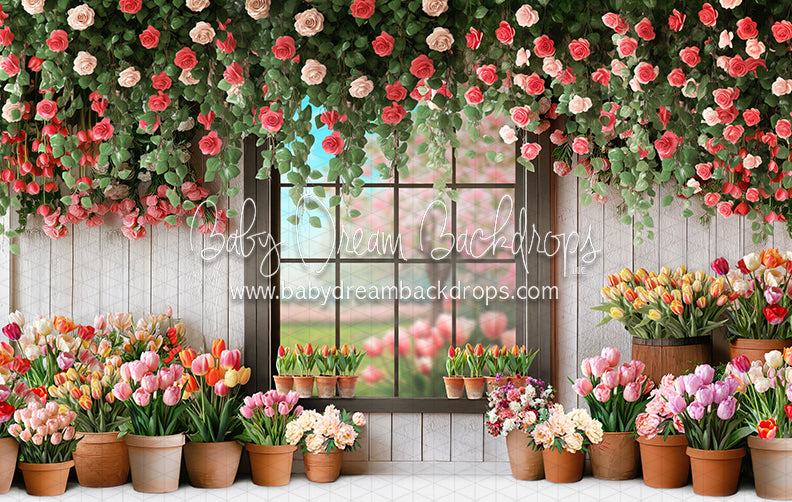 Petal Paradise Window (white bottom) (JA)