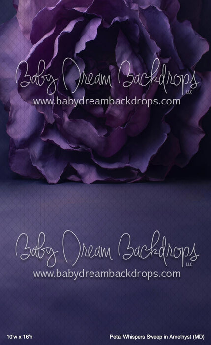 Petal Whispers Sweep in Amethyst (MD)