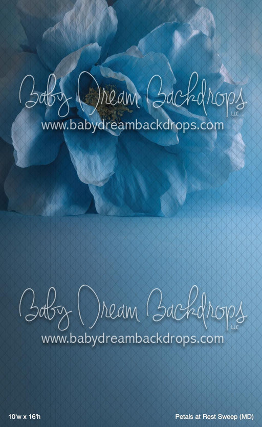 Petals at Rest Sweep (MD)