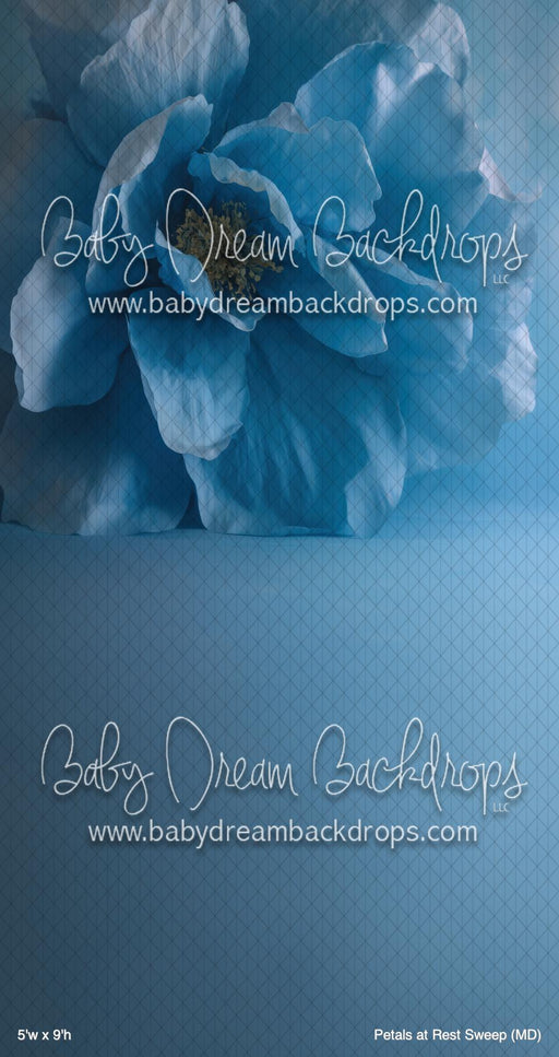 Petals at Rest Sweep (MD)