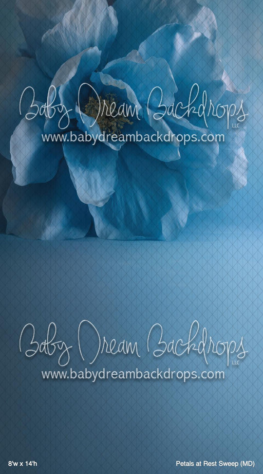 Petals at Rest Sweep (MD)