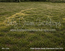 Petite Garden Haven Greenhouse Fabric Floor (GO)