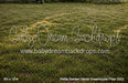 Petite Garden Haven Greenhouse Fabric Floor (GO)