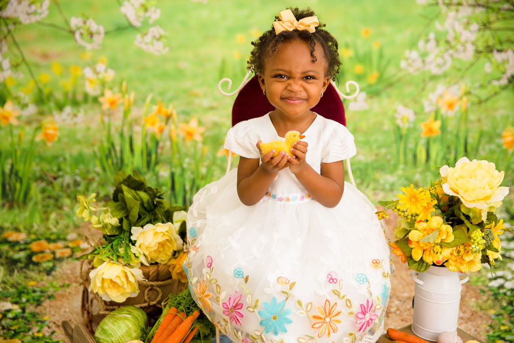 Simple Spring Meadow (JA)