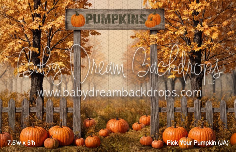 Pick Your Pumpkin (JA)