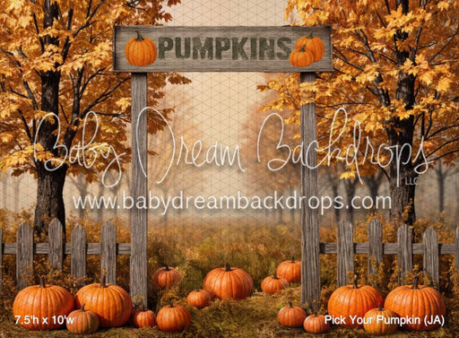 Pick Your Pumpkin (JA)