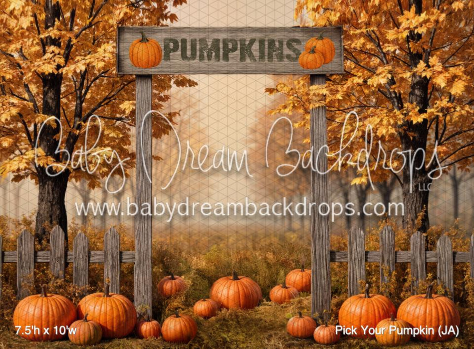 Pick Your Pumpkin (JA)