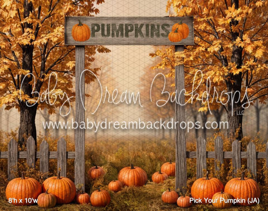Pick Your Pumpkin (JA)