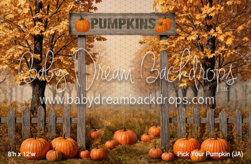 Pick Your Pumpkin (JA)