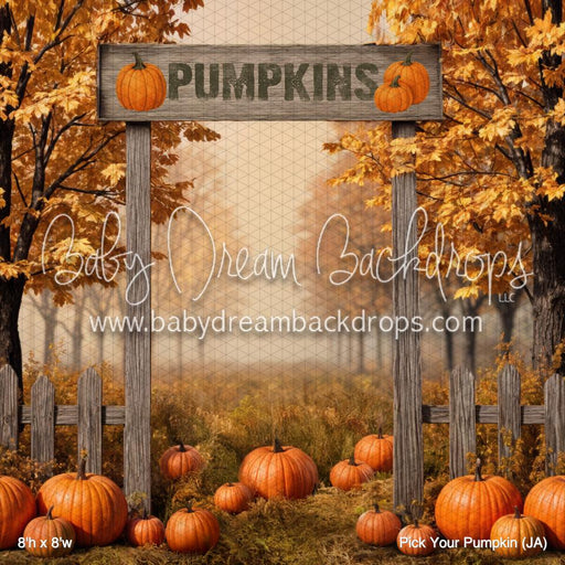 Pick Your Pumpkin (JA)