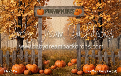 Pick Your Pumpkin (JA)