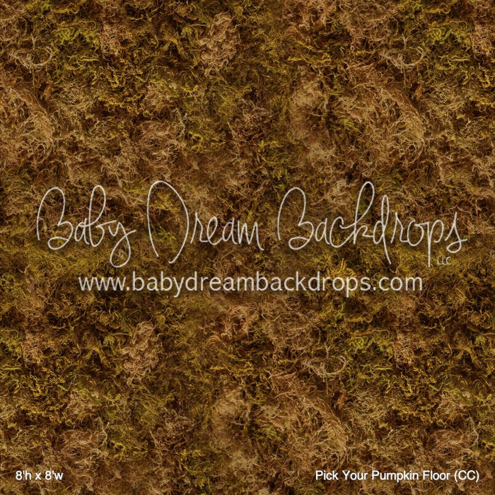 Pick Your Pumpkin Floor (CC)