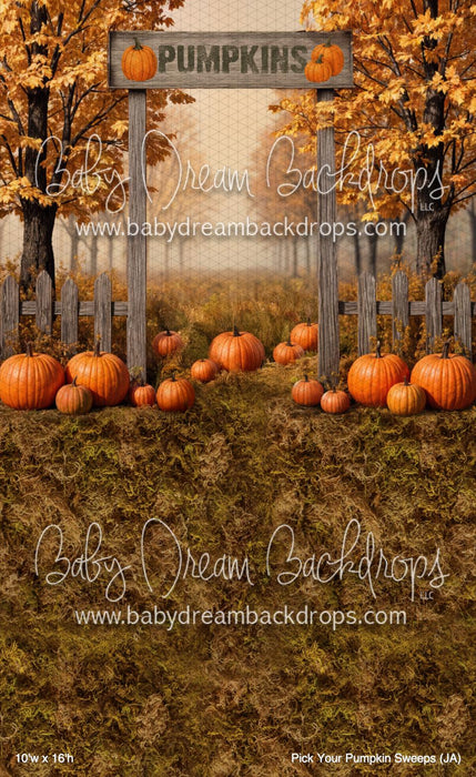 Pick Your Pumpkin Sweeps (JA)