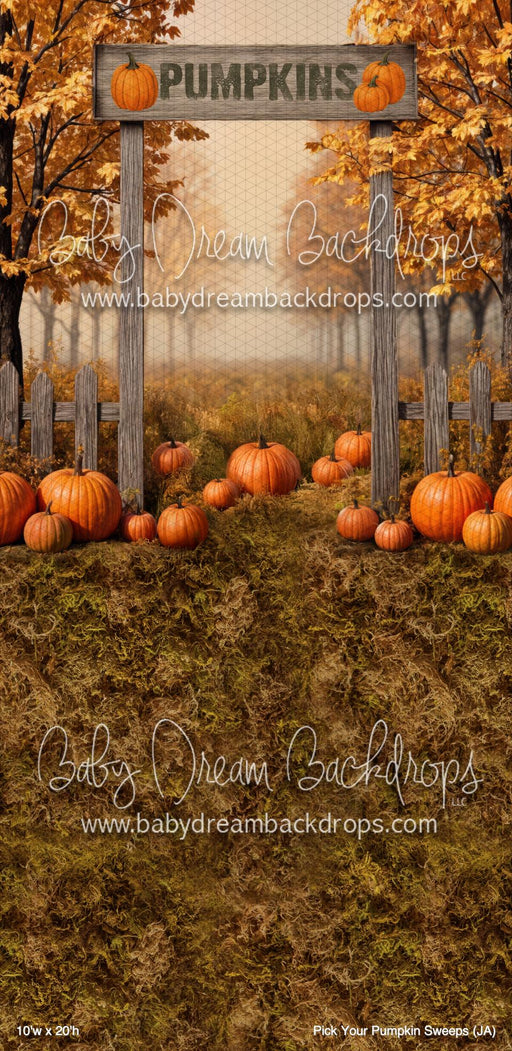 Pick Your Pumpkin Sweeps (JA)