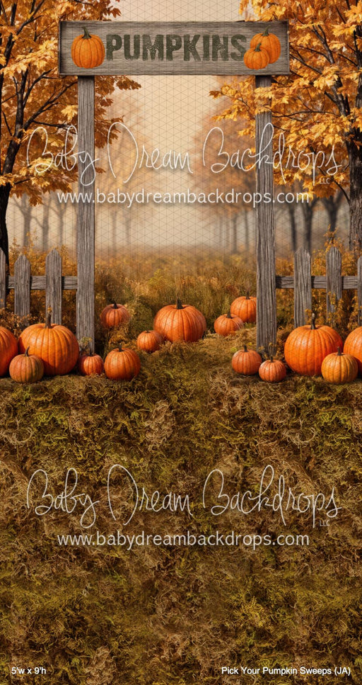 Pick Your Pumpkin Sweeps (JA)