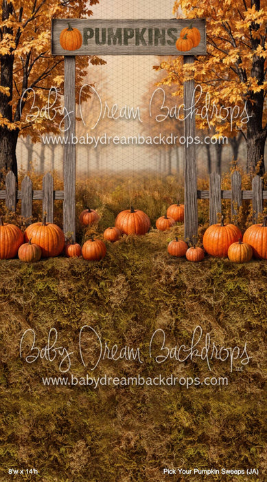 Pick Your Pumpkin Sweeps (JA)