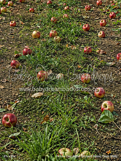 Picture Day Allple Orchard Fabric Floor (WM)
