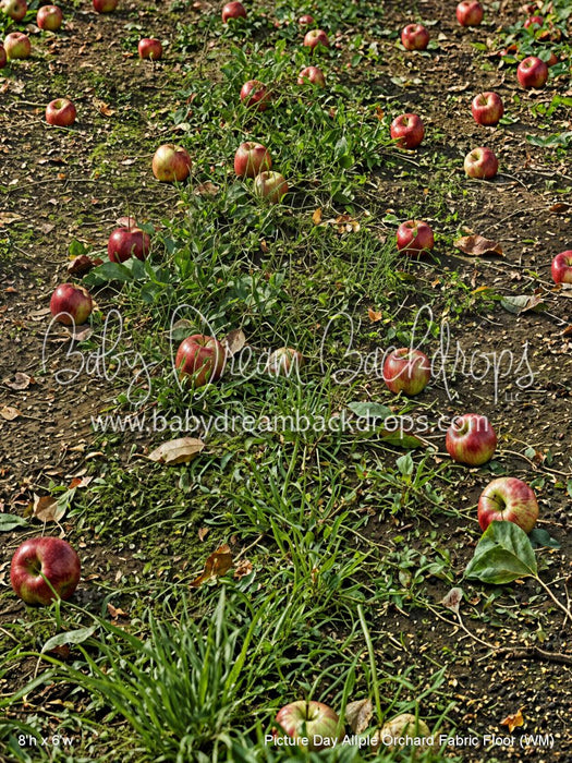 Picture Day Allple Orchard Fabric Floor (WM)