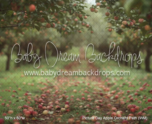Picture Day Apple Orchard Path (WM)